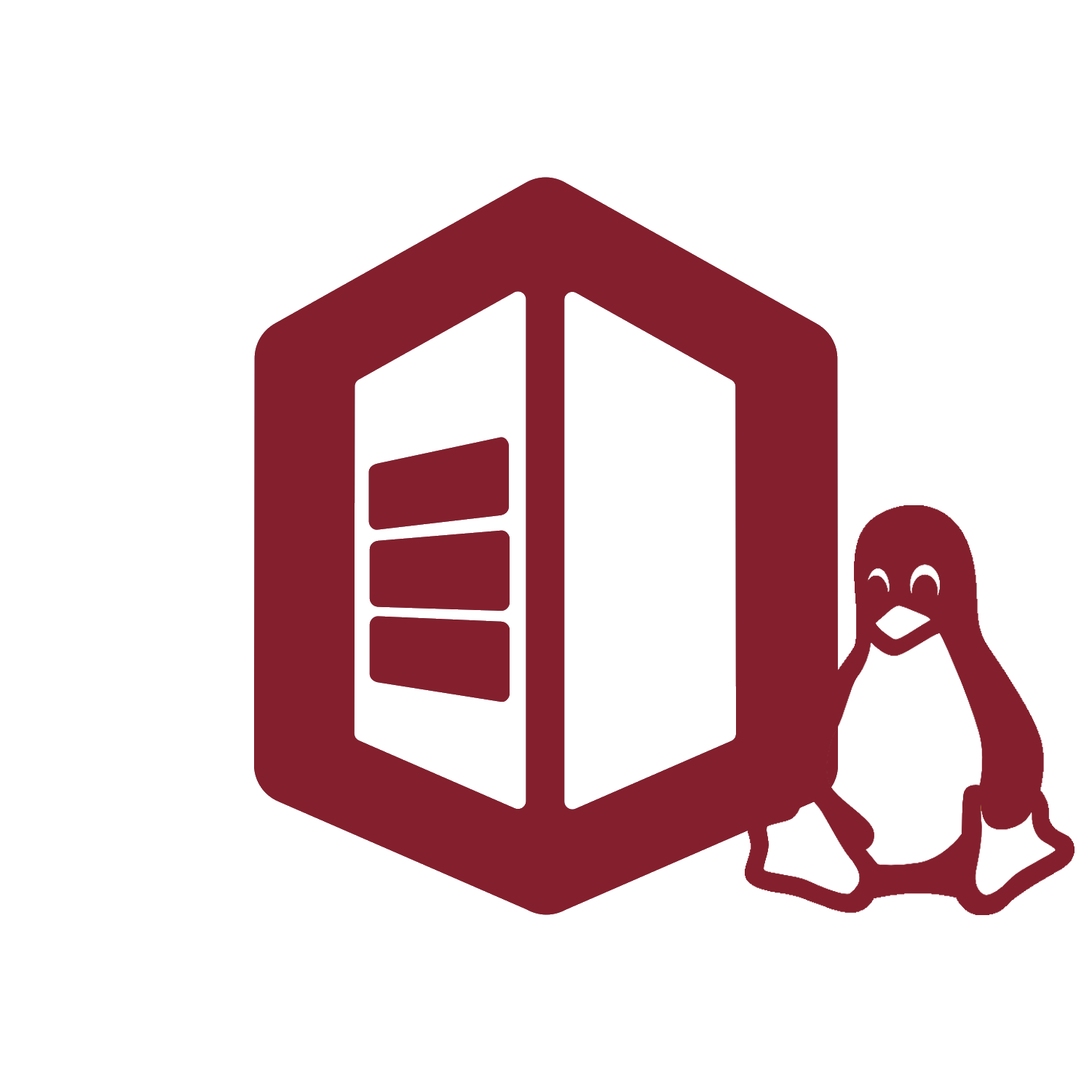 Hosting Service Provider